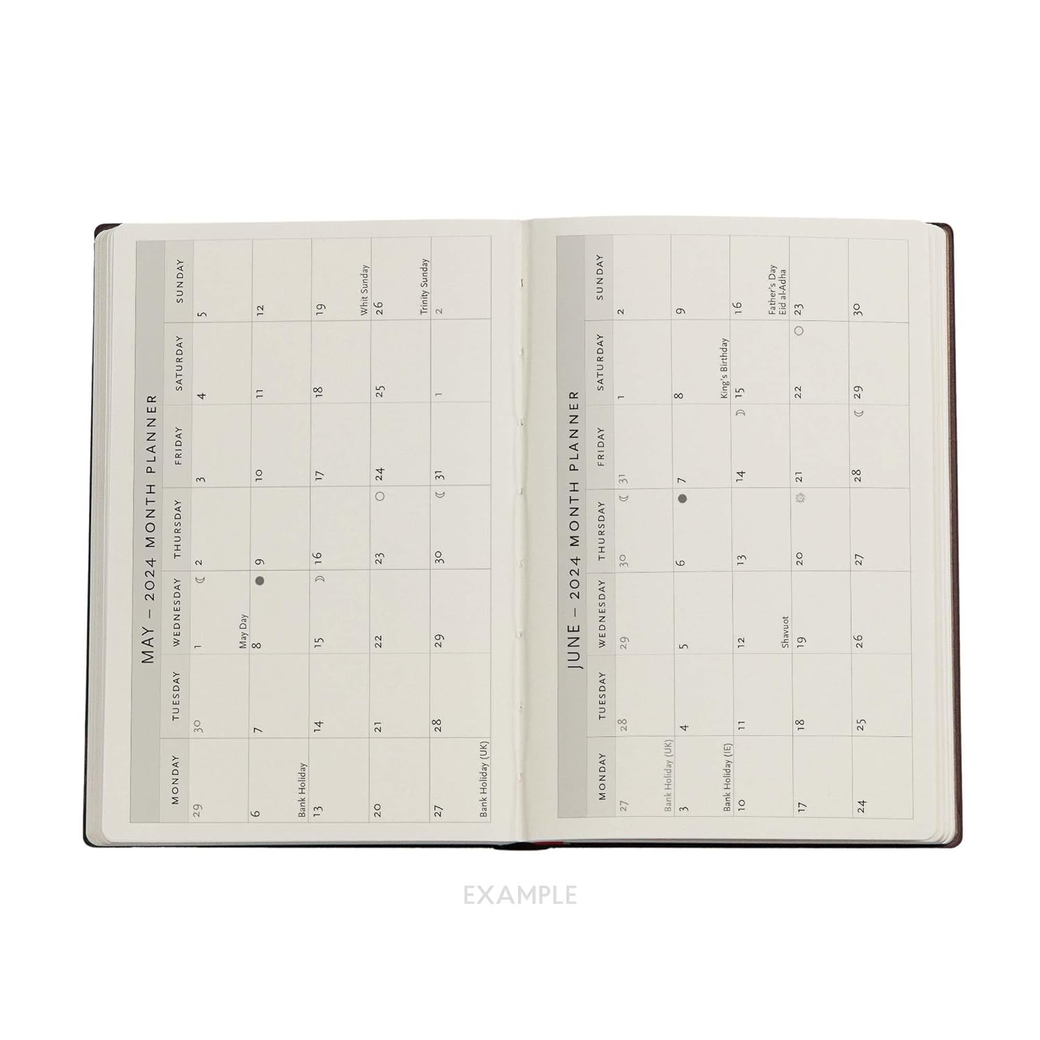 Olive Fairy (Lang’s Fairy Books) Mini 12-month Day-at-a-Time Dayplanner 2024