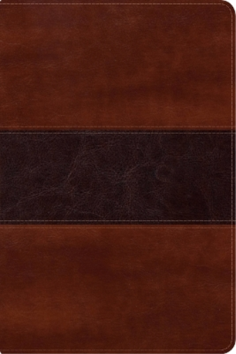 RVR 1960 Biblia del Pescador letra grande, caoba símil piel