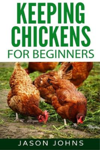 Keeping Chickens For Beginners