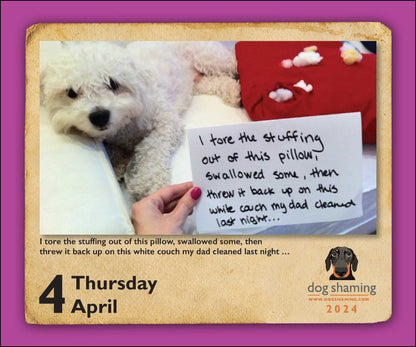 Dog Shaming 2024 Day-to-Day Calendar