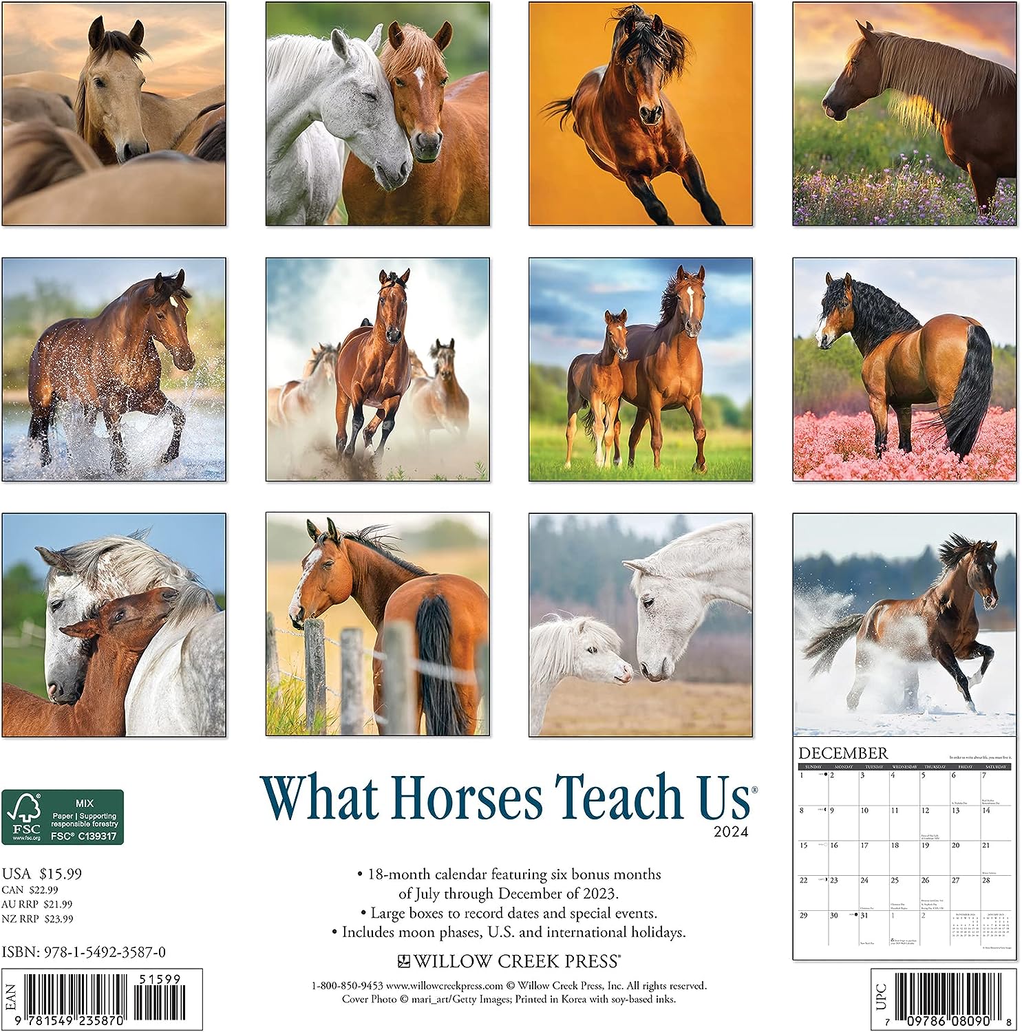 What Horses Teach Us 2024 12 X 12 Wall Calendar