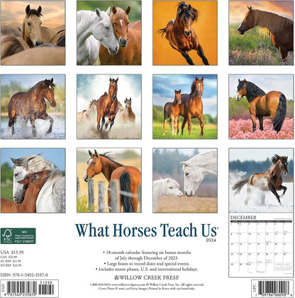 What Horses Teach Us 2024 12 X 12 Wall Calendar