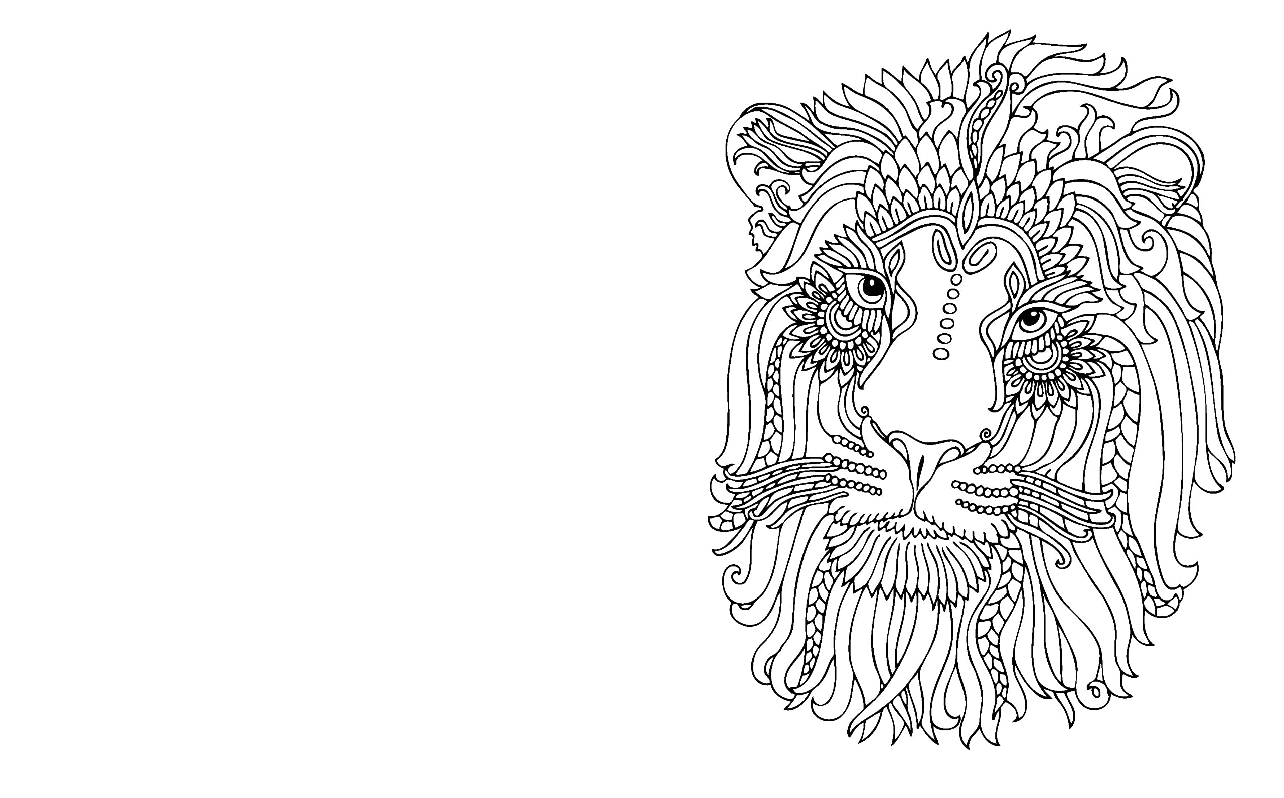 The Enchanting World Coloring Book