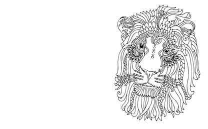 The Enchanting World Coloring Book