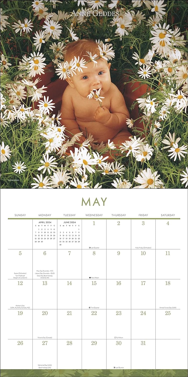 Anne Geddes 2024 Wall Calendar