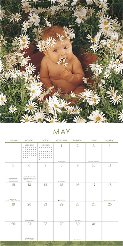 Anne Geddes 2024 Wall Calendar