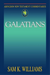 Abingdon New Testament Commentaries
