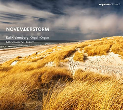 NOVEMBERSTORM (ST...