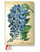 Paperblanks 2019 Blooming Wisteria