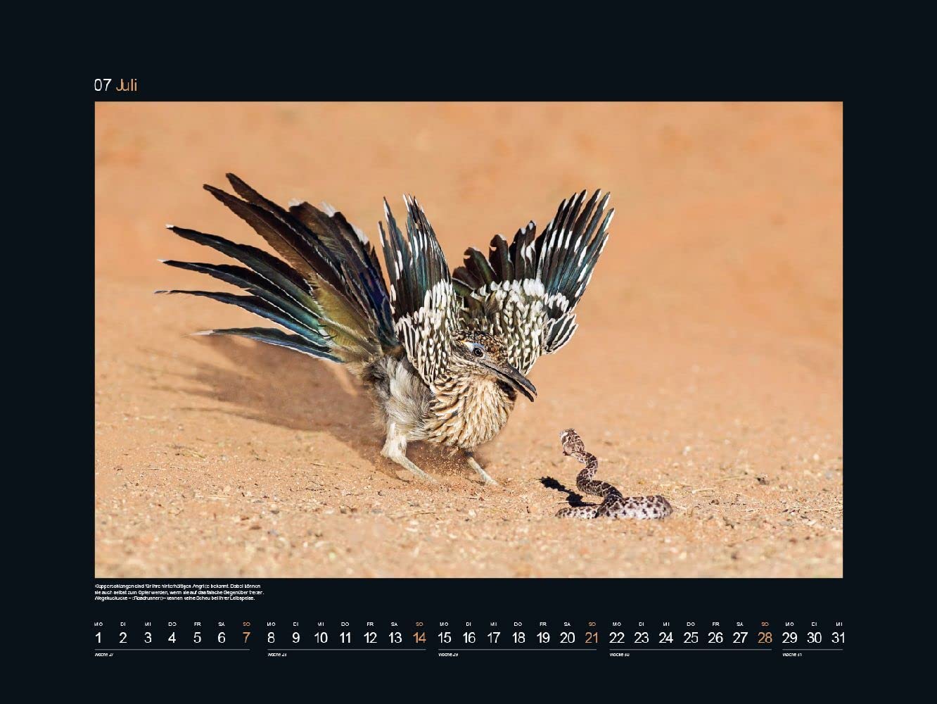 KUNTH Monats-Wandkalender Helden der Wildnis 2024
