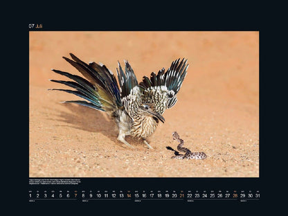 KUNTH Monats-Wandkalender Helden der Wildnis 2024