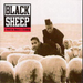 A Wolf in Sheeps Clothing