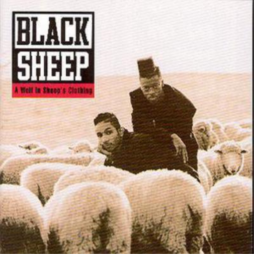 A Wolf in Sheeps Clothing