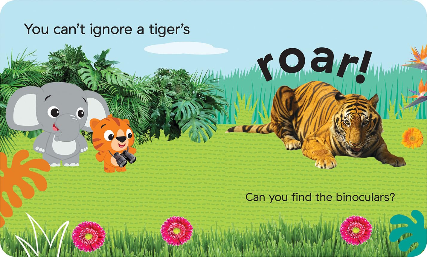 Baby Einstein: Little First Look and Find 4-Book Set