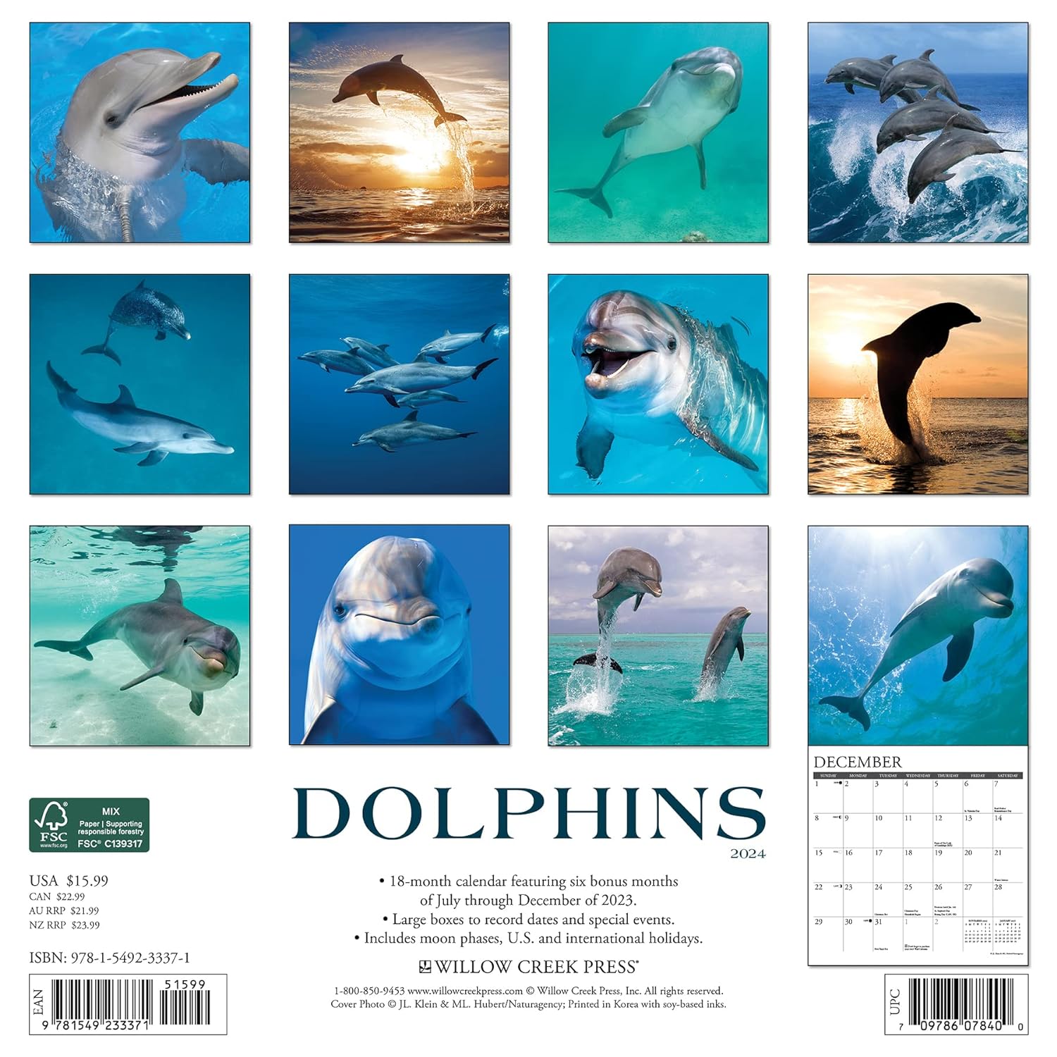Dolphins 2024 12 X 12 Wall Calendar