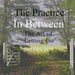 The Practice In Between