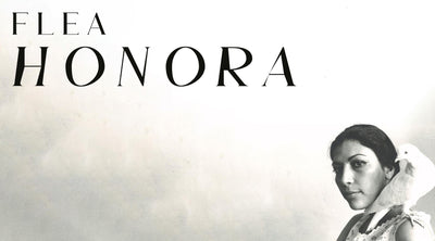 Introduction to Ethnic Studies