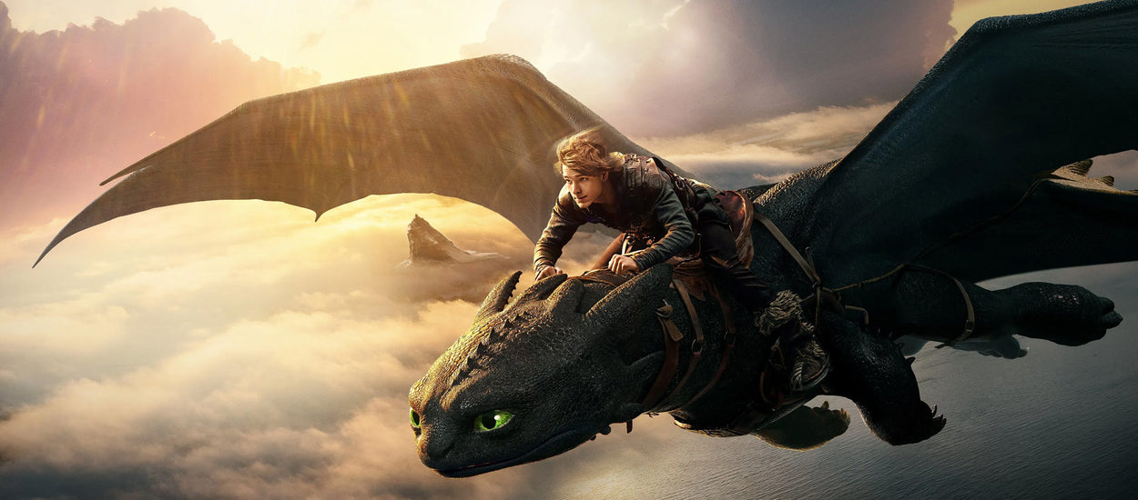 How To Train Your Dragon