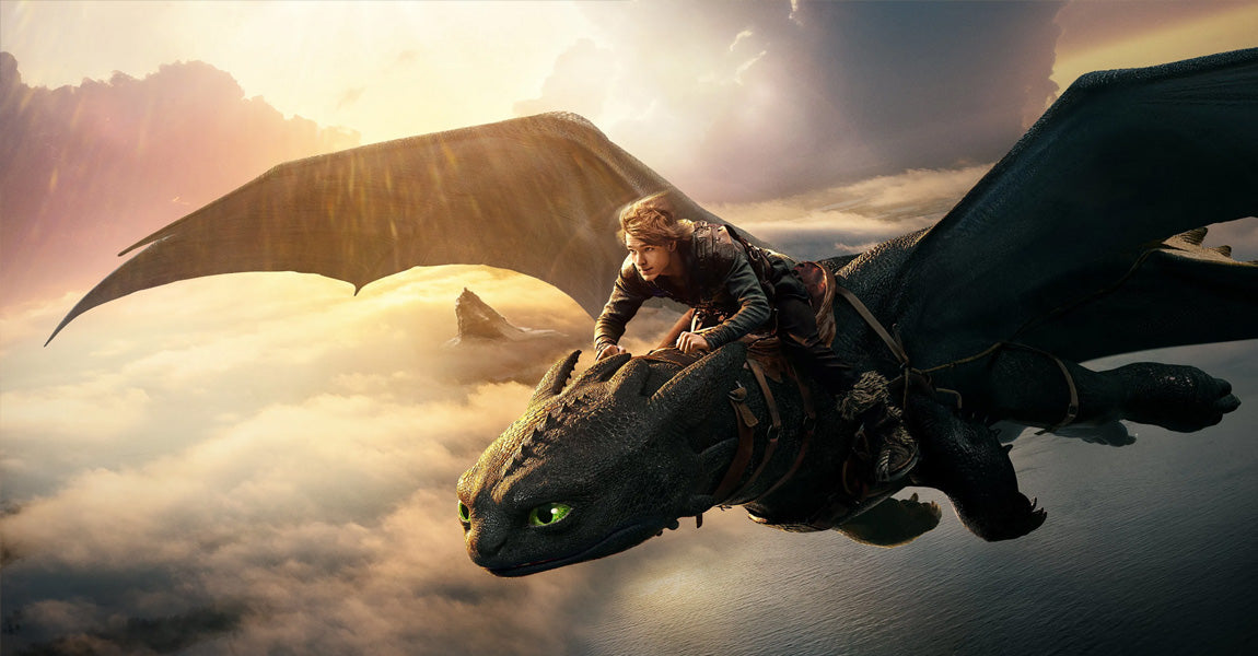 How To Train Your Dragon