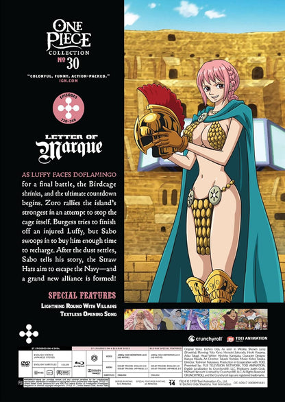 One Piece - Collection 30