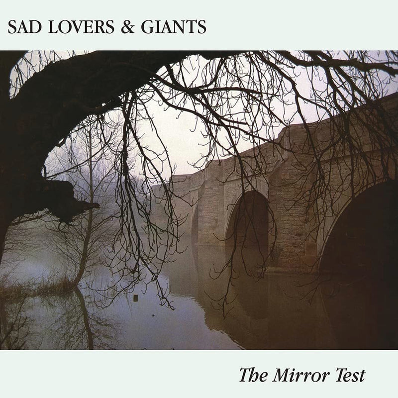 Mirror Test