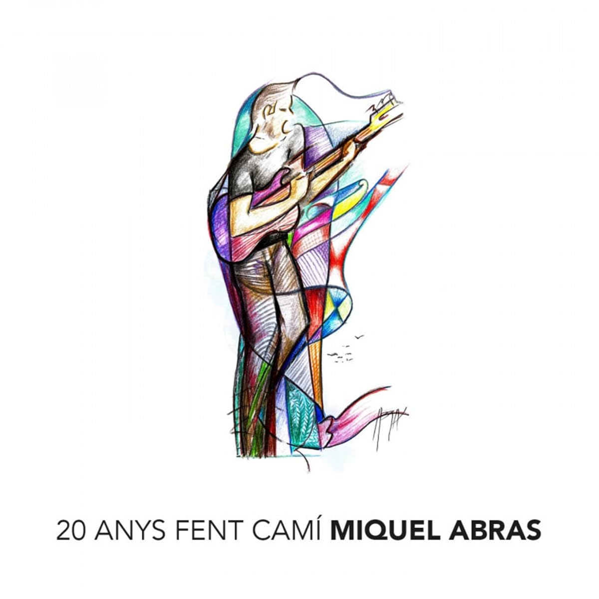 20 Anys Fent Cami