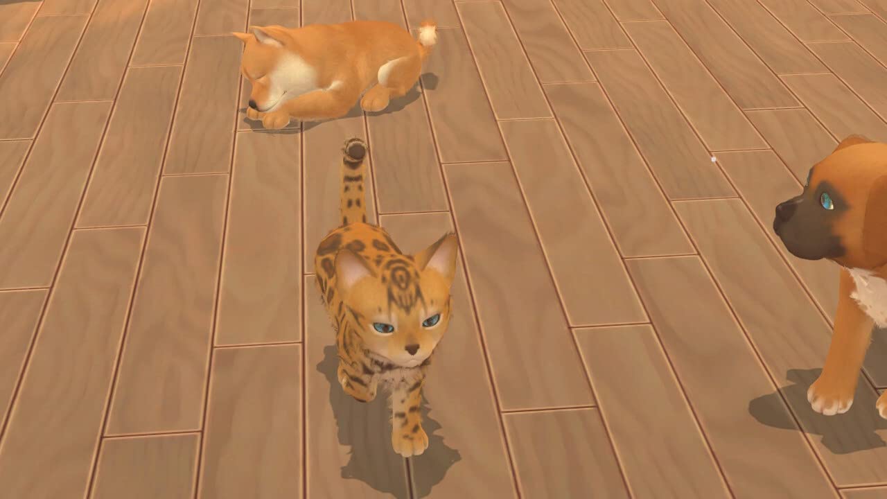 My Universe: Pets Edition Bundle (Nintendo Switch