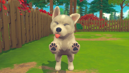 My Universe: Pets Edition Bundle (Nintendo Switch
