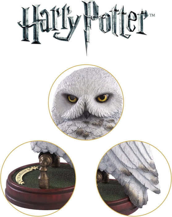The Noble Collection Harry Potter Escultura de Edvige la búho, Estampado Animal, Multicolor (NN7876