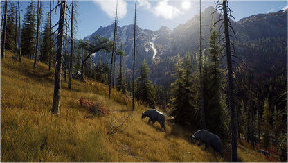WAY OF THE HUNTER PlayStation 5
