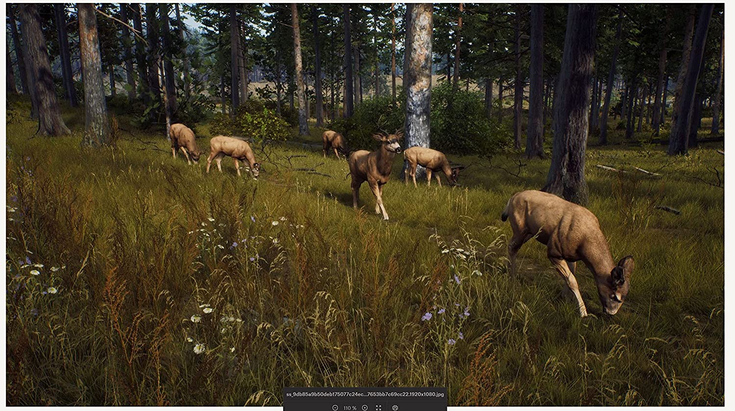 WAY OF THE HUNTER PlayStation 5