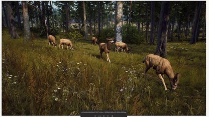 WAY OF THE HUNTER PlayStation 5