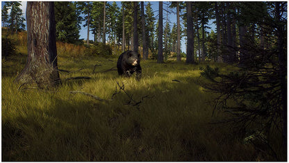 WAY OF THE HUNTER PlayStation 5