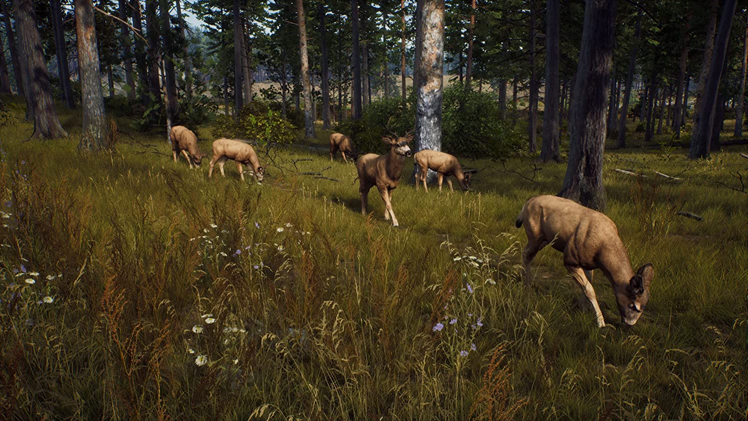 WAY OF THE HUNTER