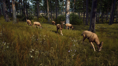 WAY OF THE HUNTER