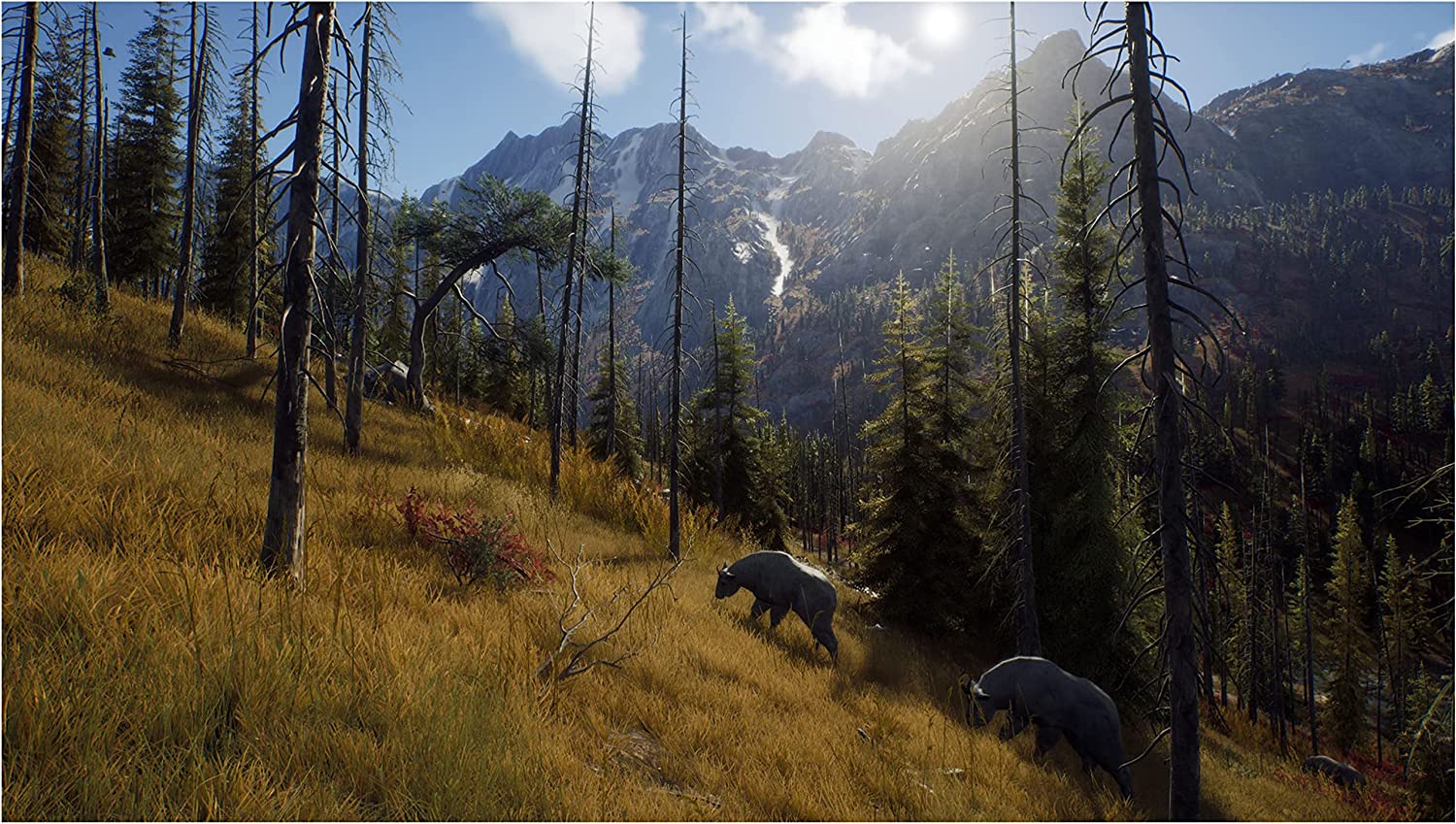 WAY OF THE HUNTER
