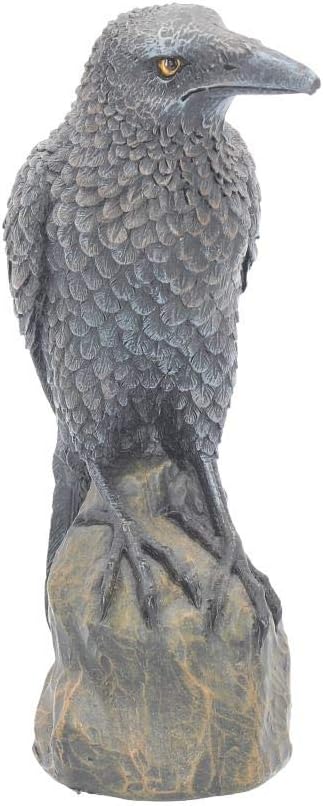Nemesis Now Ravens Rest Figurine 20cm Black