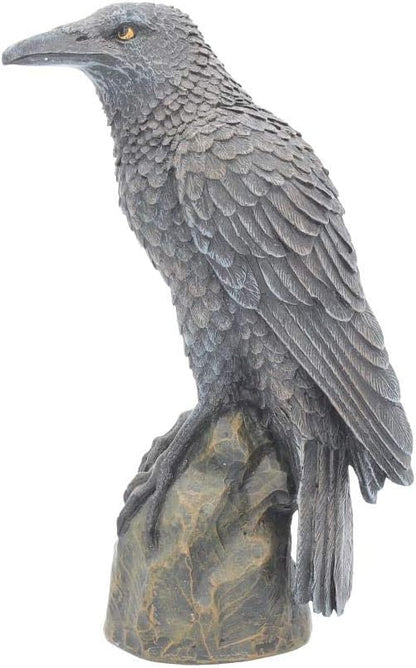 Nemesis Now Ravens Rest Figurine 20cm Black