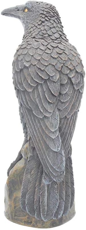 Nemesis Now Ravens Rest Figurine 20cm Black