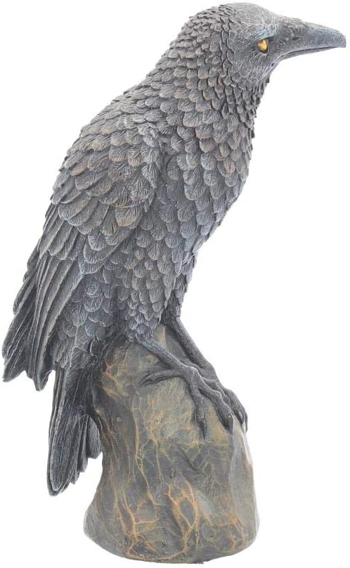 Nemesis Now Ravens Rest Figurine 20cm Black