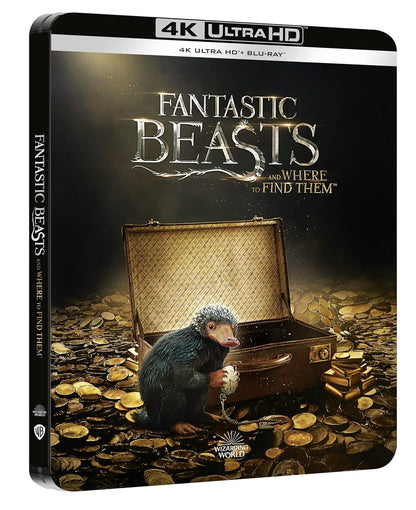ANIMALI FANTASTICI E DOVE TROVARLI Steelbook (4K Ultra HD + Blu-Ray)
