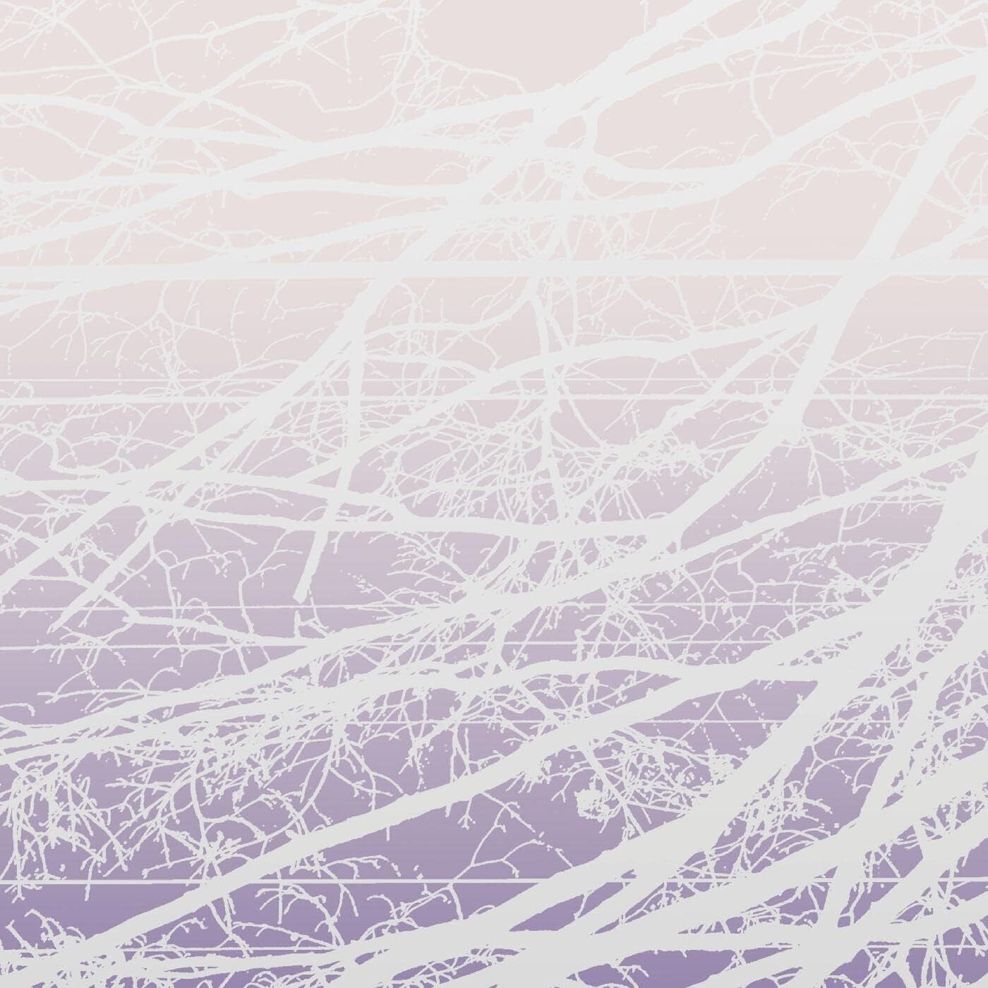 Metal Aether/Resonant Field