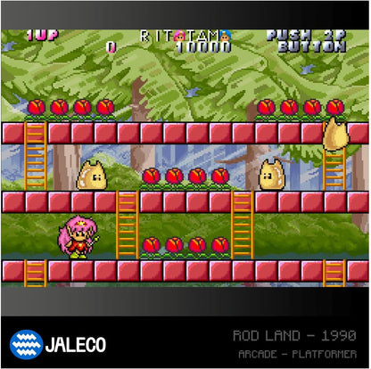 Jaleco Arcade 1