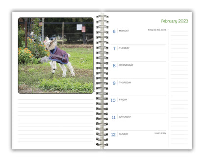 Lambies in Jammies & Goats in Coats September 2022-December 2023 Weekly Planner (ENGAGEMENT 16 MONTH