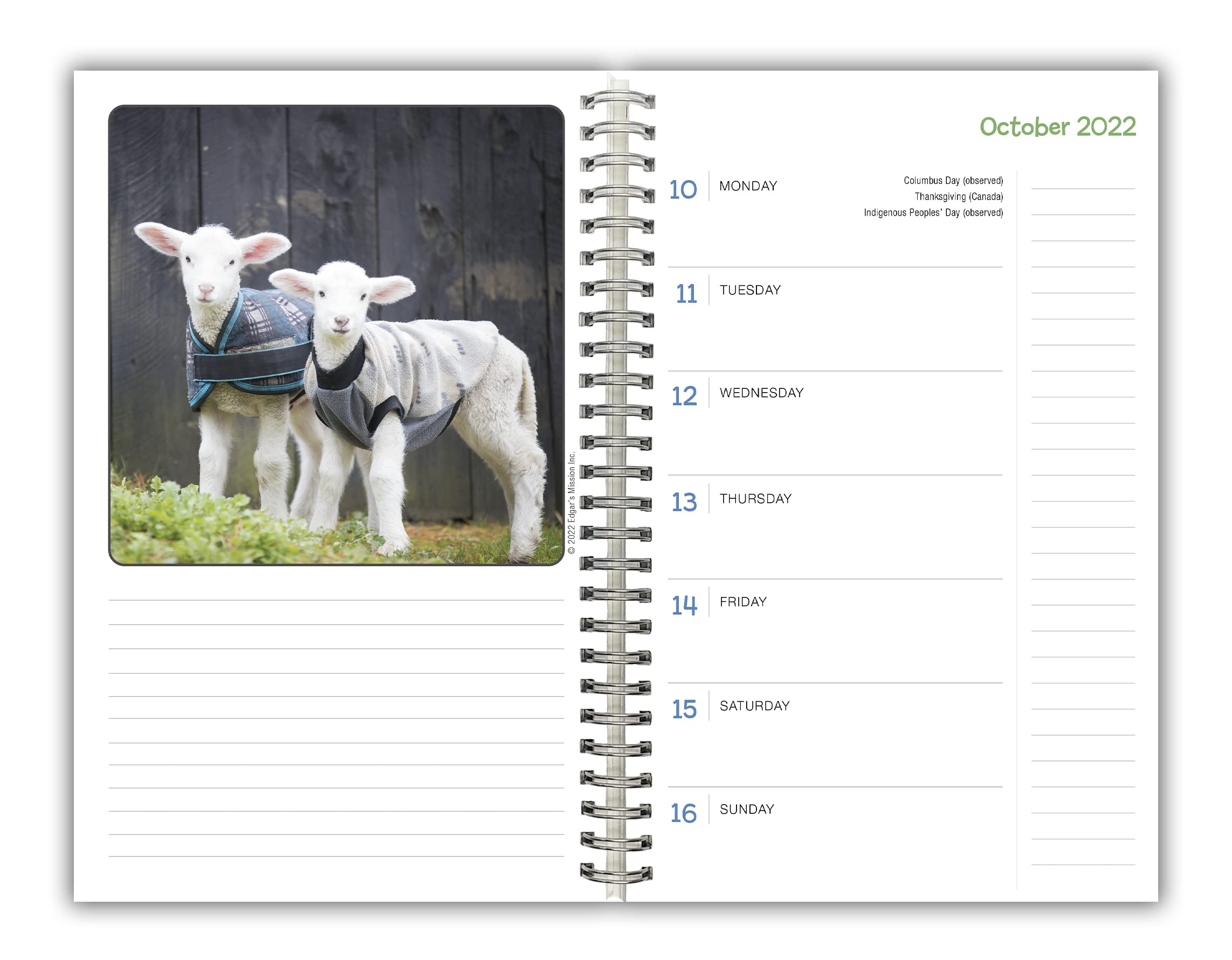 Lambies in Jammies & Goats in Coats September 2022-December 2023 Weekly Planner (ENGAGEMENT 16 MONTH
