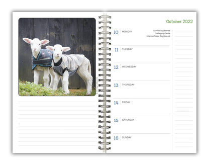 Lambies in Jammies & Goats in Coats September 2022-December 2023 Weekly Planner (ENGAGEMENT 16 MONTH