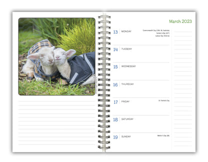 Lambies in Jammies & Goats in Coats September 2022-December 2023 Weekly Planner (ENGAGEMENT 16 MONTH