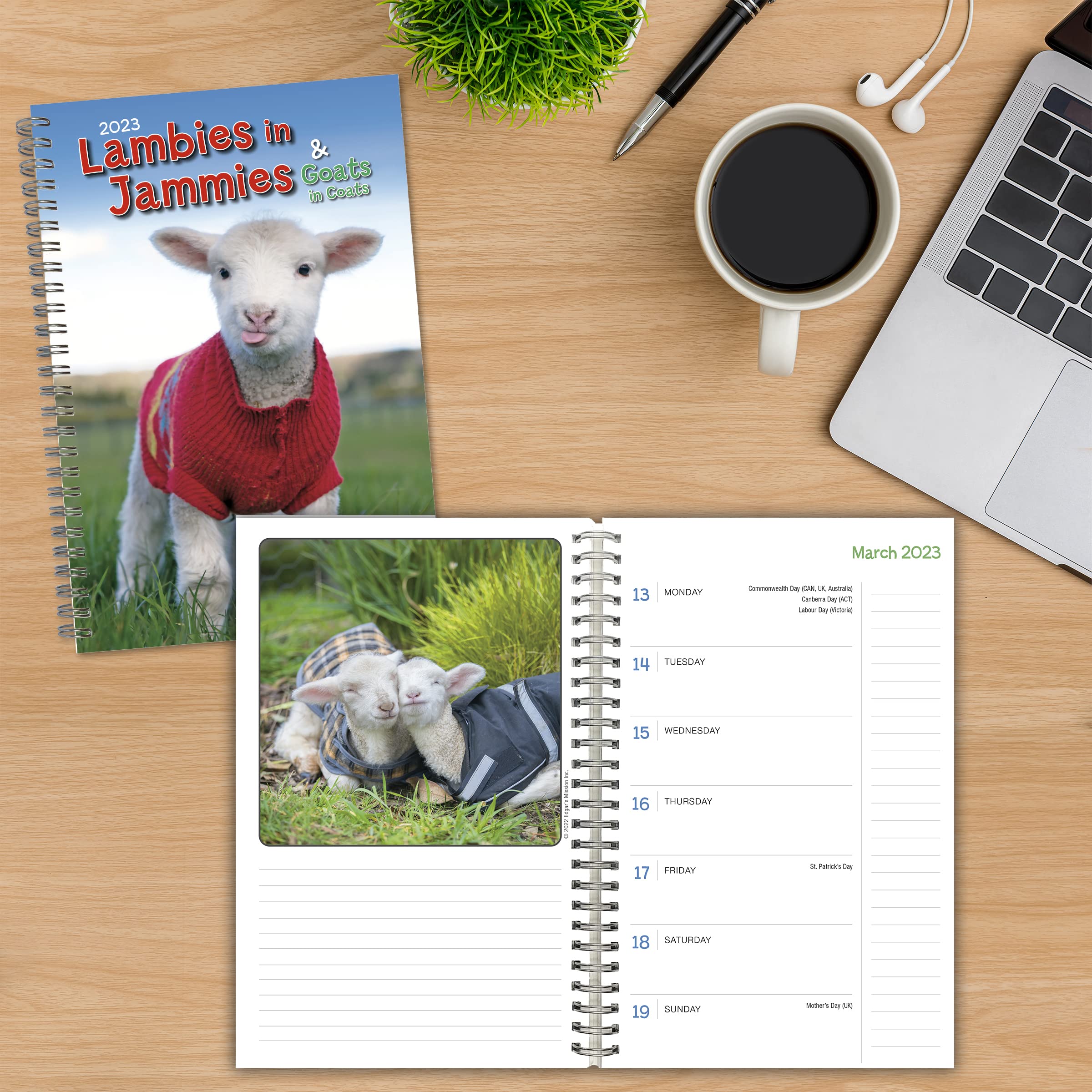 Lambies in Jammies & Goats in Coats September 2022-December 2023 Weekly Planner (ENGAGEMENT 16 MONTH