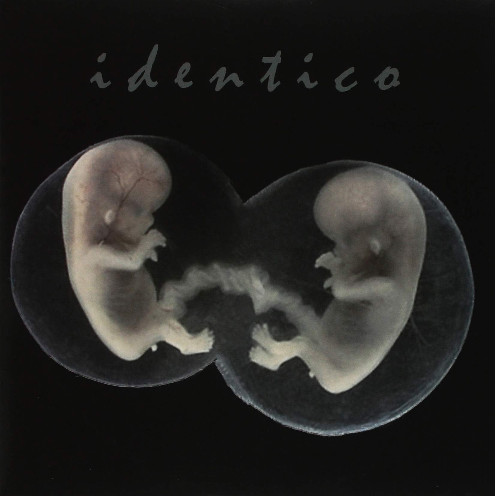 Identico VINYL]