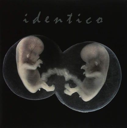 Identico VINYL]